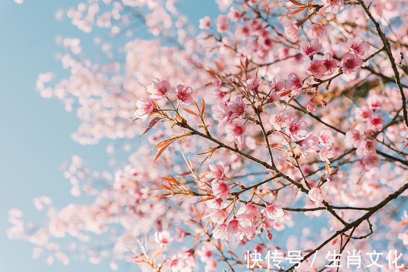 恭喜发财|属龙、蛇、马，下半年有机遇降临，把握机会飞龙在天，赚到更多钱