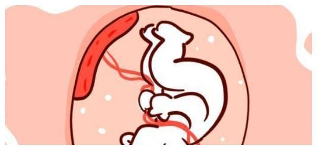 染发剂|孕妈妈经常碰的4种东西,会让胎儿很受伤,不妨一看