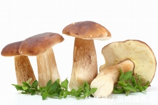 西红柿|哪些蔬菜营养价值高 这些食物帮你补充能量