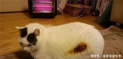 味道|只要方法得当,烧烤和方便面都一样,不胖