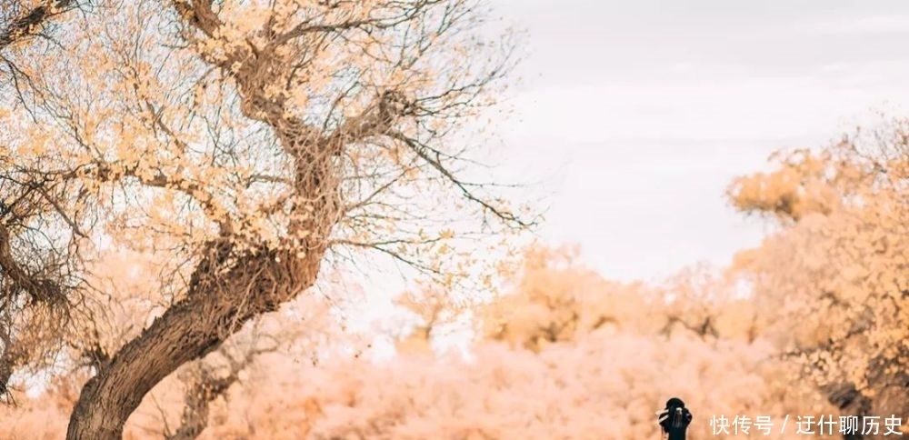 渡心,渡人,渡自己