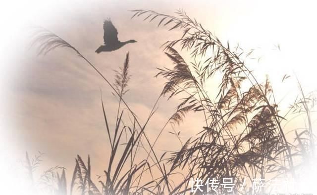 望庐山瀑布|最奇特的唐诗作品,全文28字,开头结尾都是中原最著名的城市