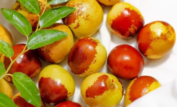 吉祥果|大寒前是孩子老人养生食补黄金期,多吃3种健康果,寓意身体健康