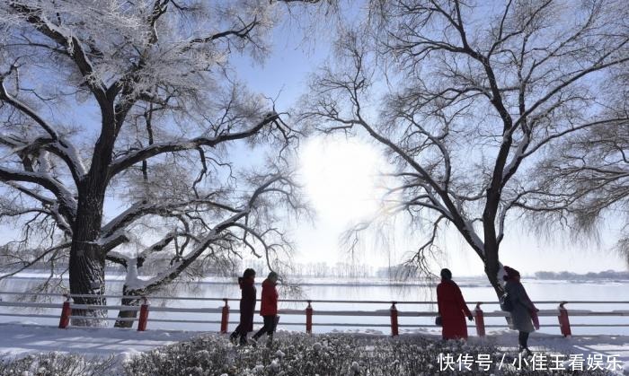 游人|视窗江畔雾凇美景醉游人