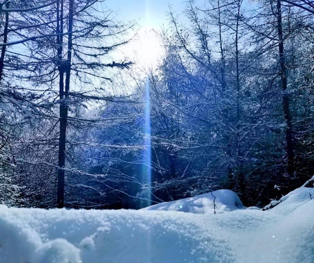  温暖|大雪纷纷，家的温暖，陪您拥抱整个世界