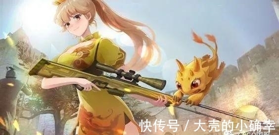 n「CSGO」小心二次元