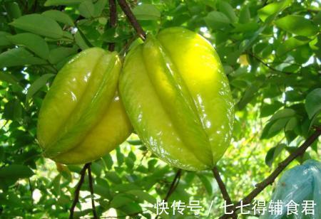 抗衰|女性担心衰老，多吃的好食物，能美容抗衰，滋阴补气，肌肤更好