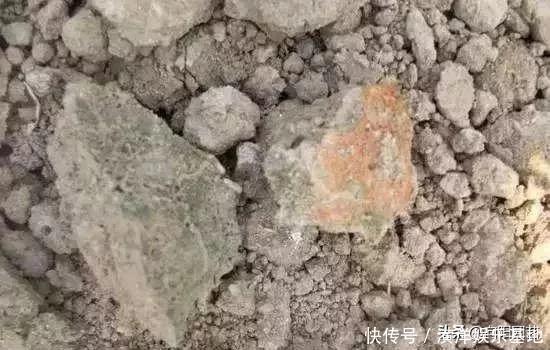 2种小药片,丢进水里用来浇花,土壤两年不板结,开花多长的旺