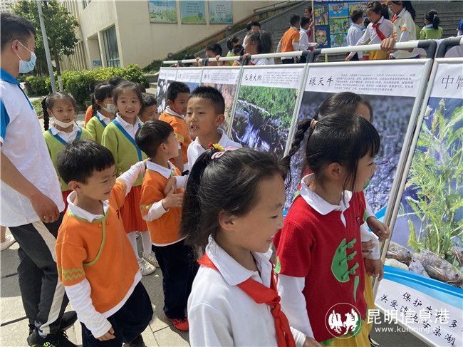 昆明信息港讯|滇池流域生物多样性科普进师大附小樱花语校区