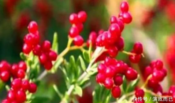 女性爱美,推荐吃3种食物,排出毒素,养护血管