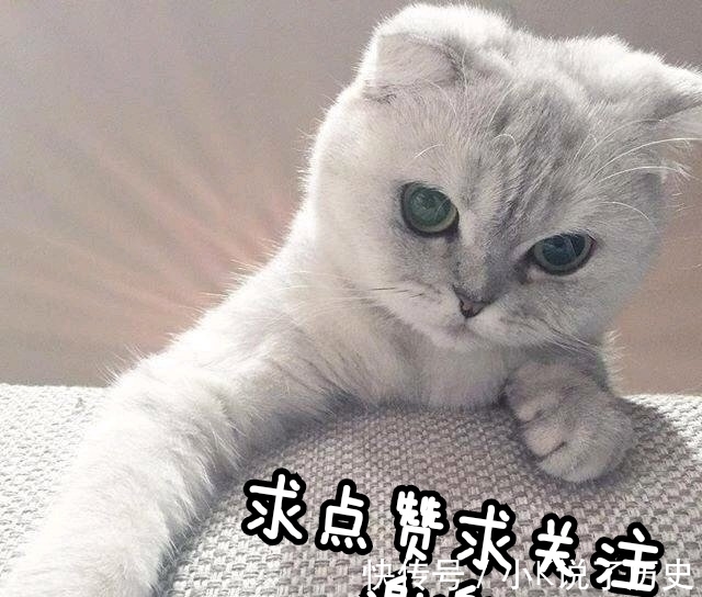 体力要素|这期密逃全程快进,体力要素过多,出现三季以来最简单谜题