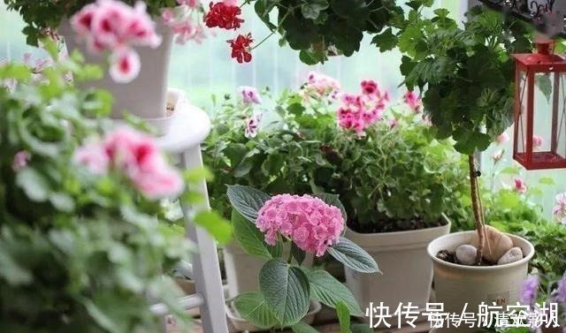 造园|7㎡迷你“阳台造园”小阳台这样布置,也能美成的花园!