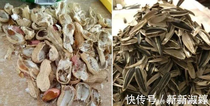 花盆里加点这个，不烂根不黄叶，轻松养满盆