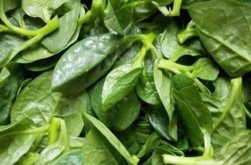 马齿苋|怀孕期间,孕妇最好少吃4种食物,对胎儿不利、或引流产