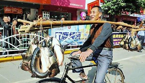 教你一种能让鱼离水活五天不死,并且不用水电、冰箱的法子