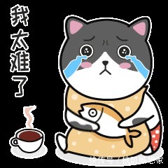 |幽默笑话表嫂把她妹妹介绍给了俺,结婚后才知道嫂子用心良苦