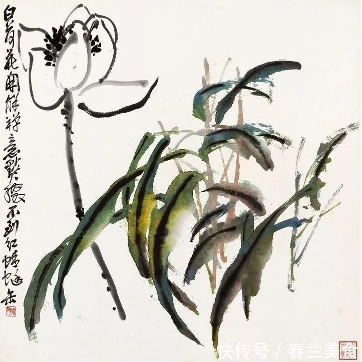 任伯年#吴昌硕十二开花卉清供册,简约清雅,悦目赏心!