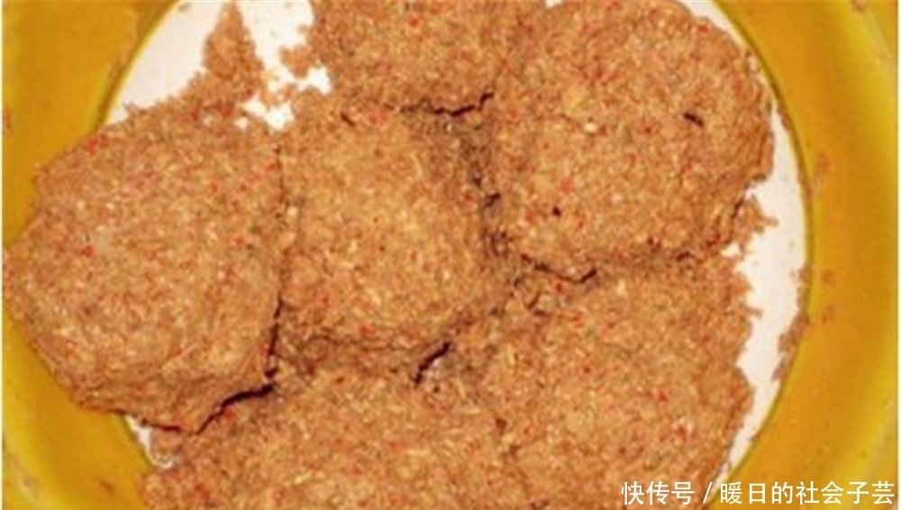 野钓|打窝聚鱼不能慢人一步,这样打窝发窝快速,上鱼快人一步!