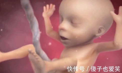 晨练|除了睡觉,胎儿如何每天在肚子里都干啥宝宝小日子开心到飞起