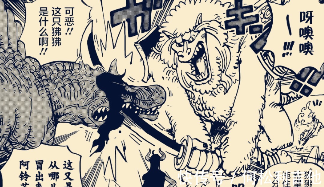 狛千代|海贼王996话小玉说的敌船是什么极有可能是他们!