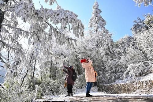 南方的雪景，竟然不输北方