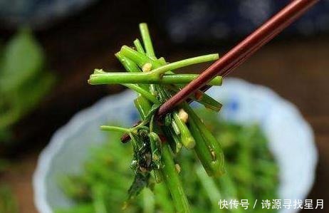  刺五加|这种野菜上面覆盖着宝，可惜很多人把他当草用