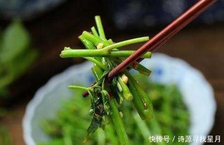 刺五加|这种野菜上面覆盖着宝,可惜很多人把他当草用