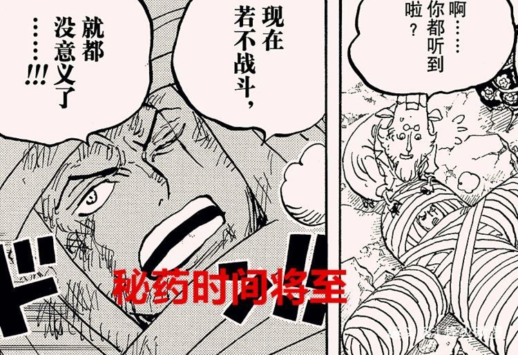 大看板|海贼王1028话：秘药时间将至，索隆也会迎来觉醒？桃子人兽型出现