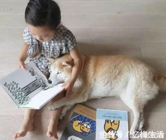 小时候|20年后有出息的孩子,小时候有这些特征,符合的话,家长偷偷乐吧