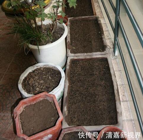 灭菌|养花的土，这样消毒“处理一下”，没有虫子病菌，花草长得旺！