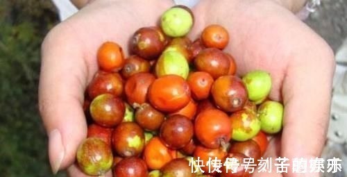 痔疮|痔疮最怕这几样食物,每天吃两口,消炎除痔,比“塞药”管用