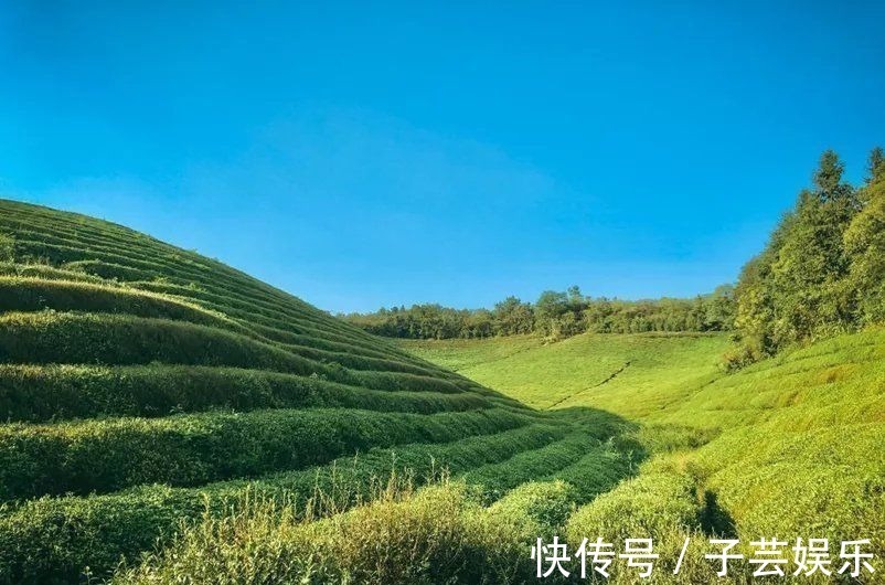 新中式风|安吉这个坐拥山野世外之地的民宿，泳池、茶园丨尧珈·清水谷民宿