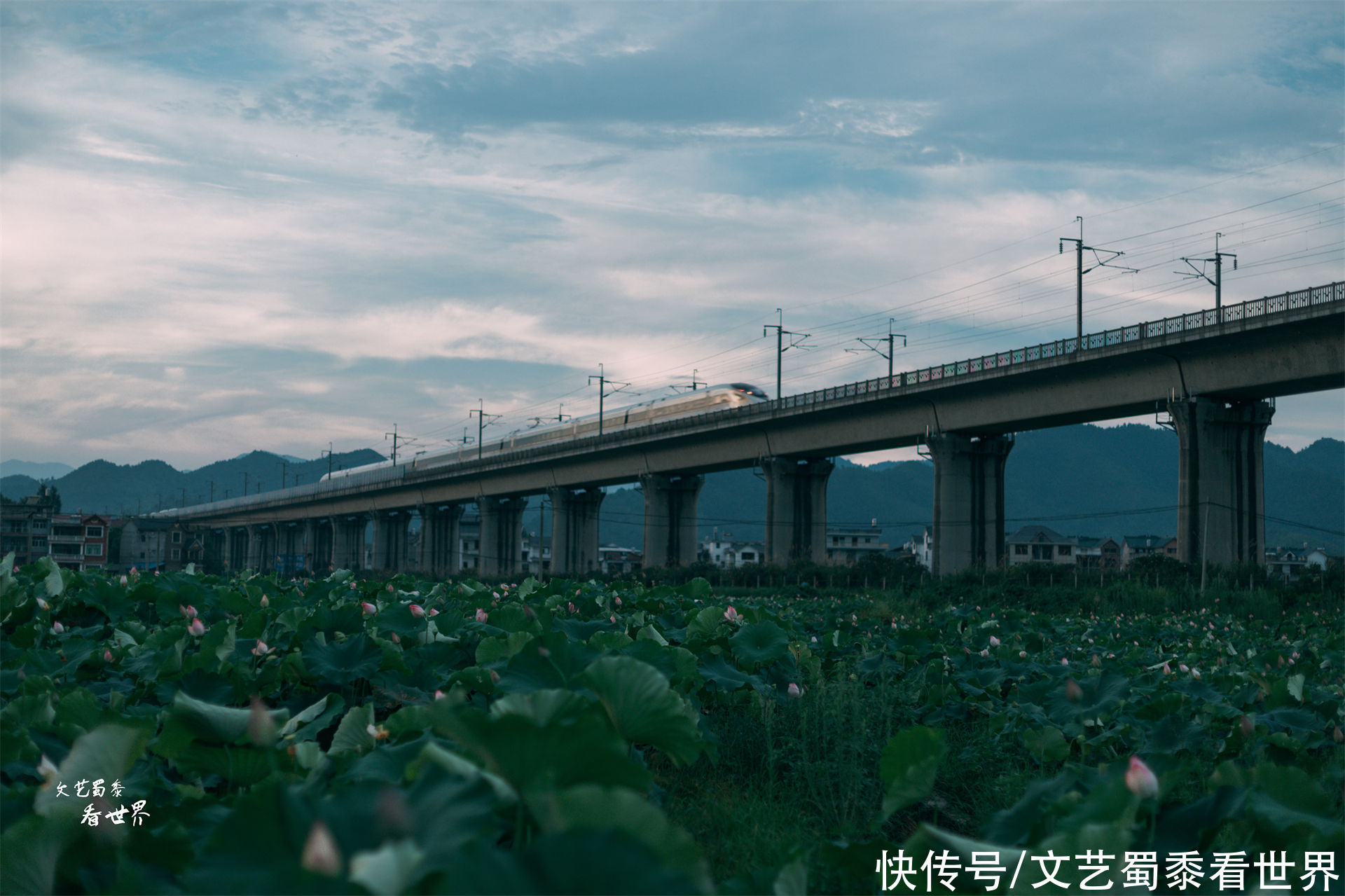 夏天|虽在重庆武汉两大火炉中间，夏天平均温度只有20°，堪比人间仙境