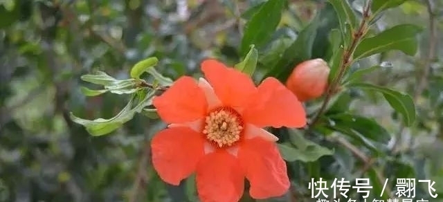 春节|2022年春节过后，偶遇贵人，鸿运当头，未来可期的三大星座2