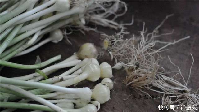 春天别只会吃韭菜!早餐试试此物,比韭菜香,比白菜补,淡化白斑
