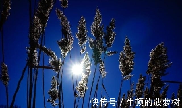 3星座|8月起运势一路飘红，财运爆棚，吉星进门，走上人生巅峰的3星座