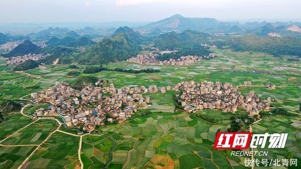 田园|湖南新田：盛夏田园美如画（组图）