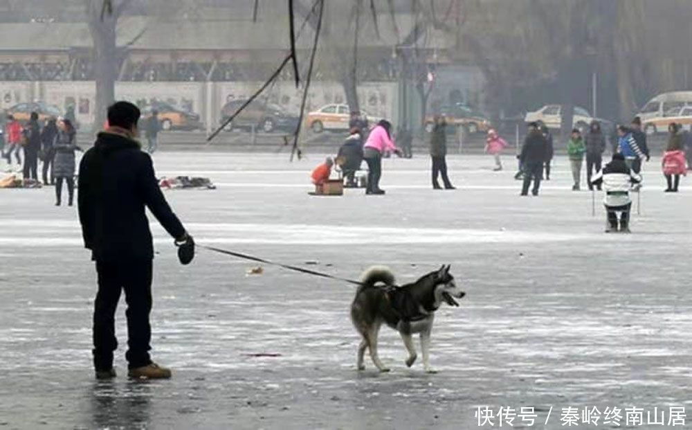 北京什刹海冰场，《血色浪漫》等众多京味电影经典取景地，这些场景你还记得吗