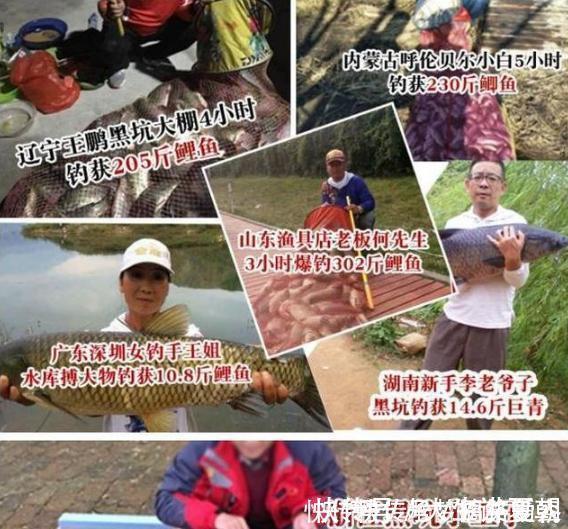 诱饵|农村小伙钓鱼就是狠,这样打窝,钓鱼钓到手发软