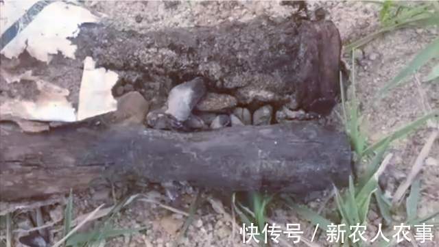 男子|海南岛一男子野钓发现意外收获,惊喜变成了惊吓,警察也到现场了