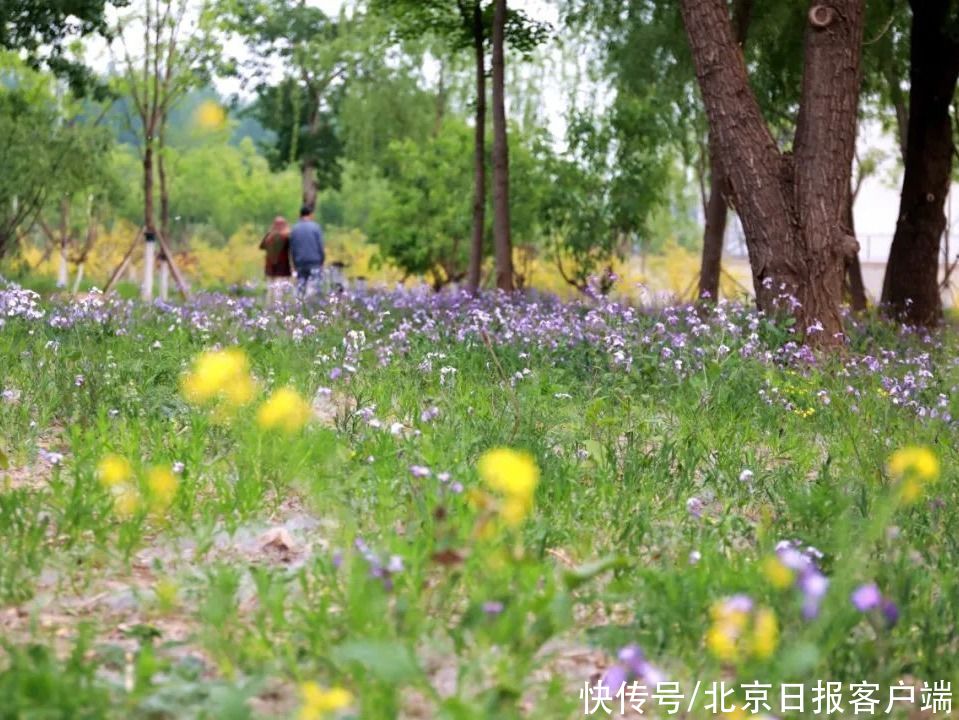 5月10日新闻早知道｜昨夜今晨·热点不容错过