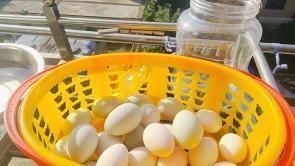 过瘾|只需三步,教你自制咸鸭蛋,富得冒油,蛋黄流沙,口感过瘾,收藏