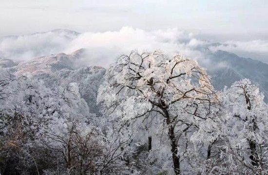 白雪|广西：桂北地区上演“冰雪奇缘”