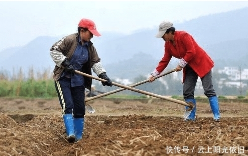 农村俗语“牛年无春，饿断人筋”啥意思？明年收成如何？看完懂了