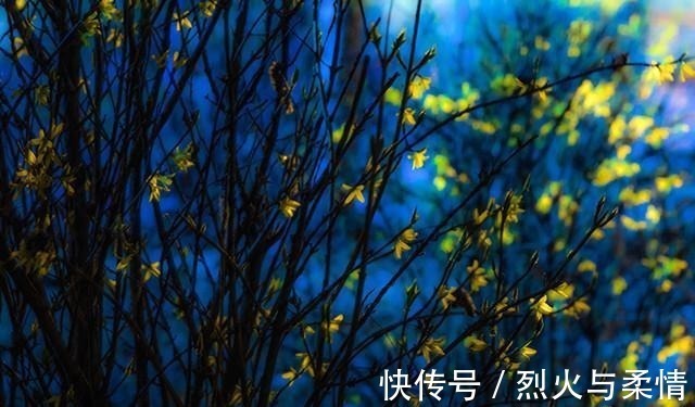 茅蓬&大龄剩女太想嫁人,写下一首羞羞诗,最后一句真酸,酸成千古名句