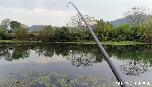 鱼情|野钓大鲫鱼的三种不常规钓法,在这些鱼情中使用,效果好得出奇!
