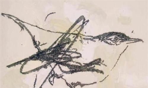 克里斯蒂安#他画一只鸟卖82万,小学生:我也会画,顶级专家:你看它的眼睛!