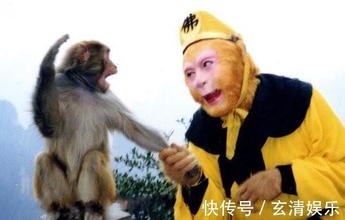 哮天犬$二郎神杨戬有哮天犬,牛魔王有神兽,孙悟空的宝物让神佛垂涎