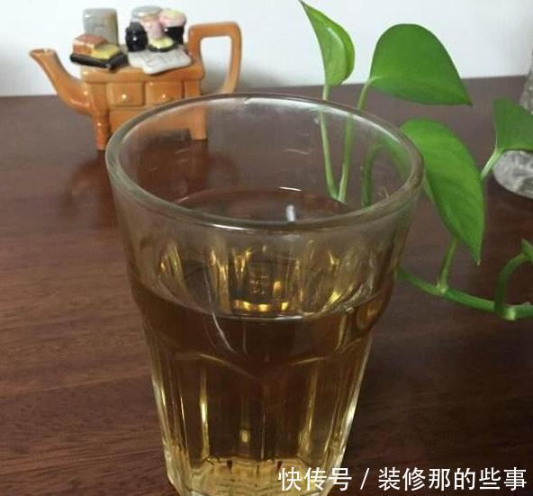 花草长了虫,用家里一些小玩意,一喷就消灭光,药都不用买!