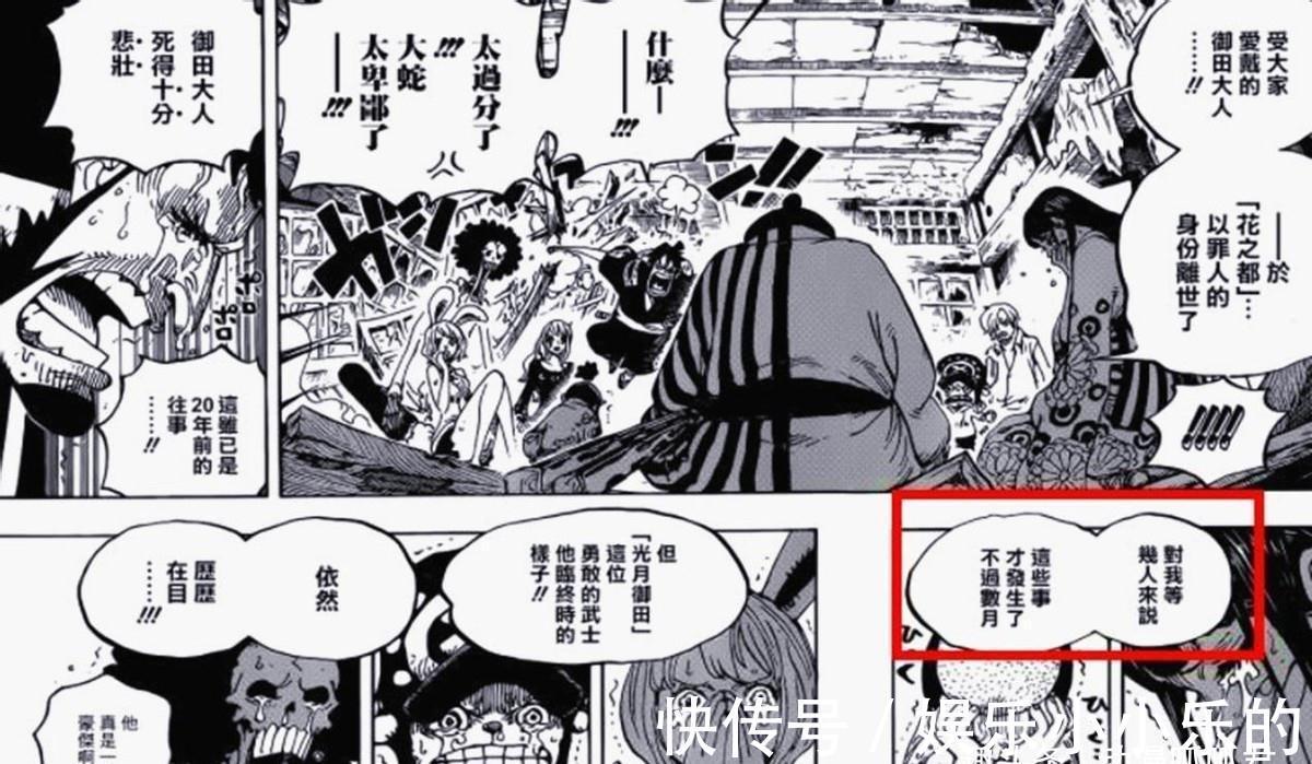 尾田老师|海贼王:神秘人的身份确认,她的目的居然是为了手刃大蛇